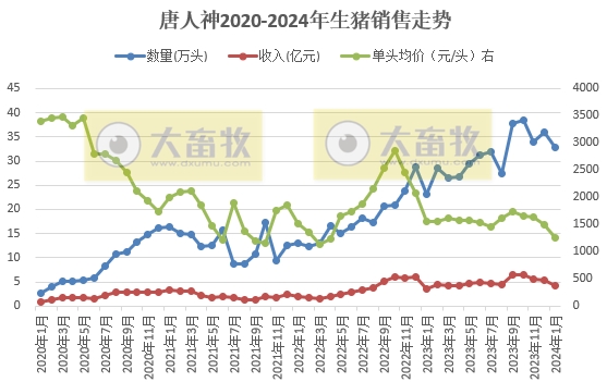 唐人神、华统、天康和京基2024年1月生猪销售情况