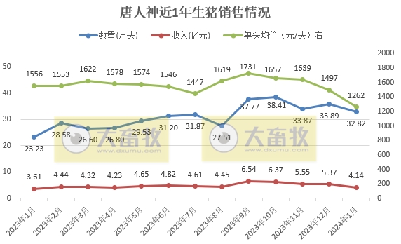 唐人神、华统、天康和京基2024年1月生猪销售情况