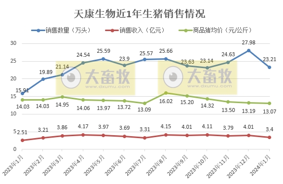唐人神、华统、天康和京基2024年1月生猪销售情况