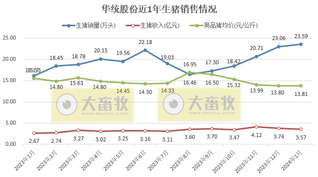 唐人神、华统、天康和京基2024年1月生猪销售情况