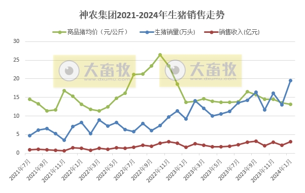 神农和金新农2024年1月生猪销售情况