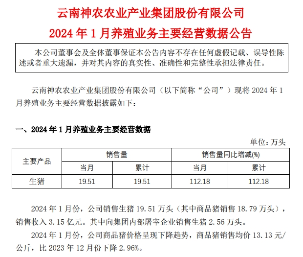 神农和金新农2024年1月生猪销售情况