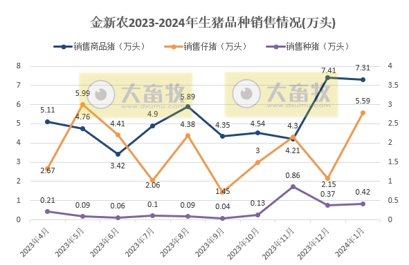 神农和金新农2024年1月生猪销售情况