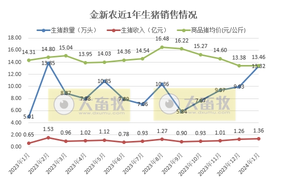 神农和金新农2024年1月生猪销售情况