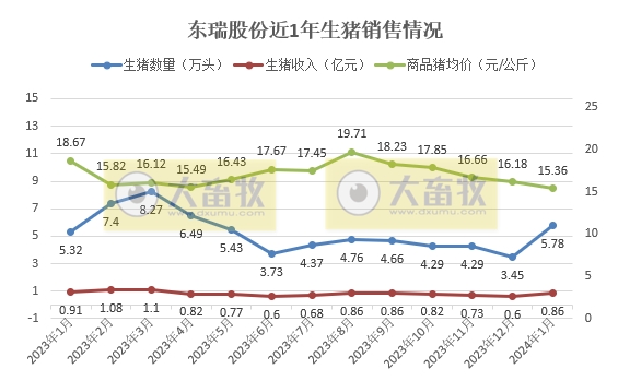 东瑞和正虹2024年1月生猪销售情况