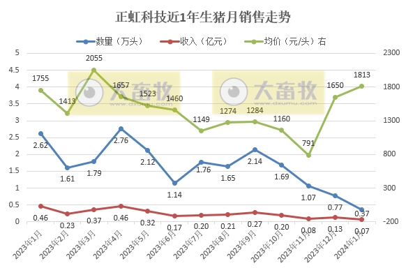 东瑞和正虹2024年1月生猪销售情况