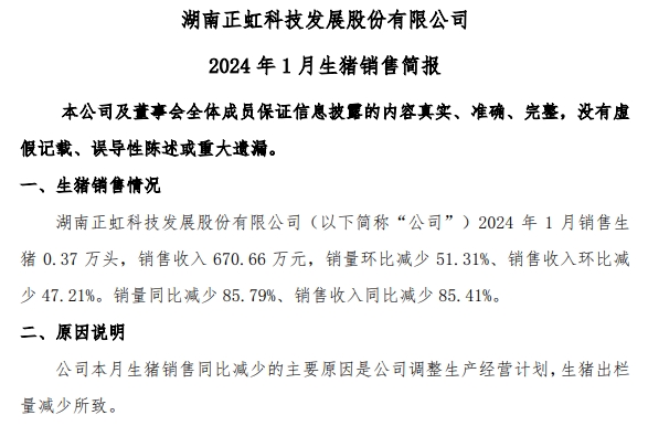 东瑞和正虹2024年1月生猪销售情况