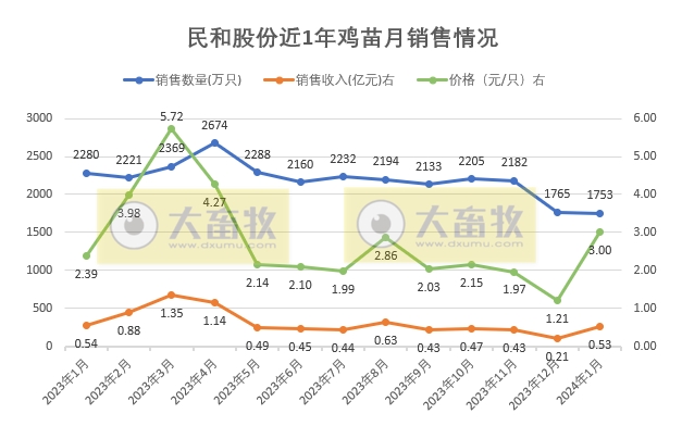 益生、民和和晓鸣2024年1月鸡苗销售情况