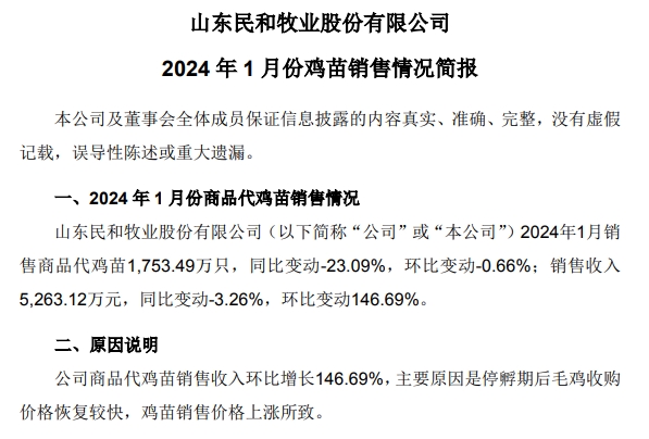 益生、民和和晓鸣2024年1月鸡苗销售情况