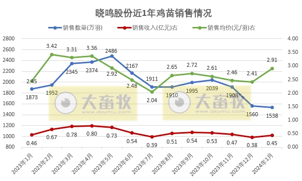 益生、民和和晓鸣2024年1月鸡苗销售情况
