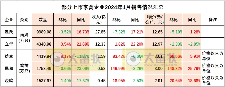 益生、民和和晓鸣2024年1月鸡苗销售情况
