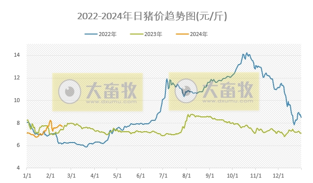 2024.02.17今日猪价