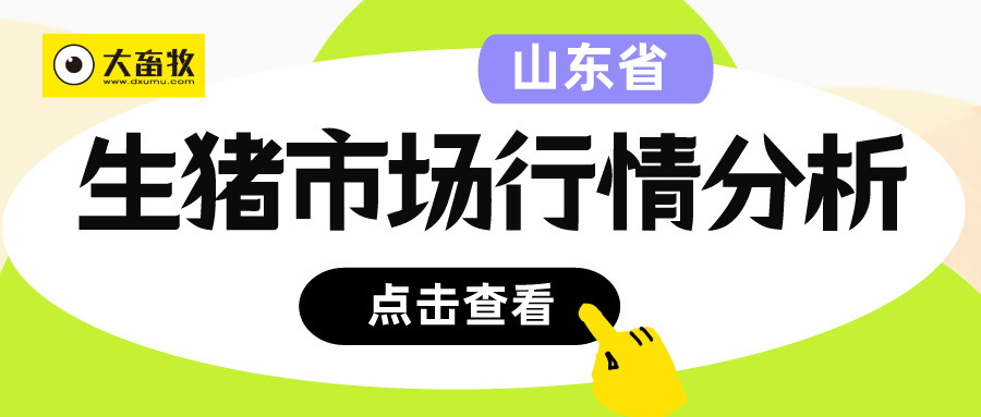山东省2025年第47周生猪市场行情分析——自繁自养头均亏损约80元，外购仔猪头均亏损约160元