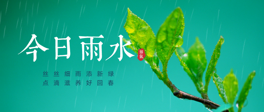 2024.02.19今日猪价