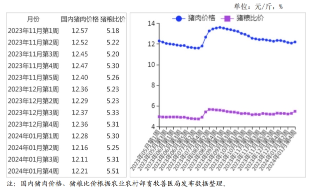 2024年1月国内和国际猪肉市场行情分析——猪肉月均价持续下跌