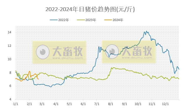 2024.02.21今日猪价