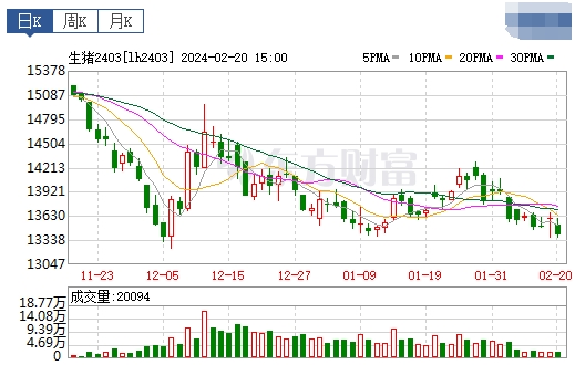 2024.02.21今日猪价