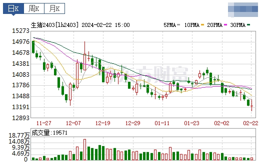 2024.02.23今日猪价