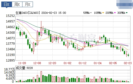 2024.02.24今日猪价