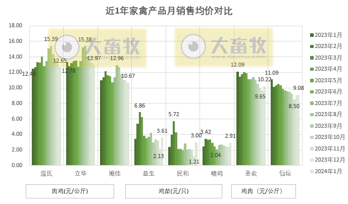 8家上市家禽企业2024年1月肉鸡和鸡苗销售情况PK