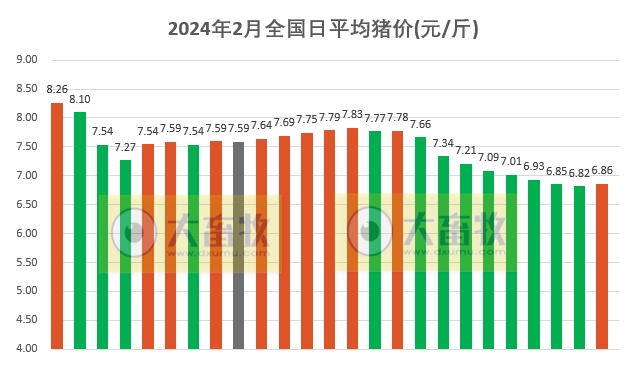 2024.02.25今日猪价