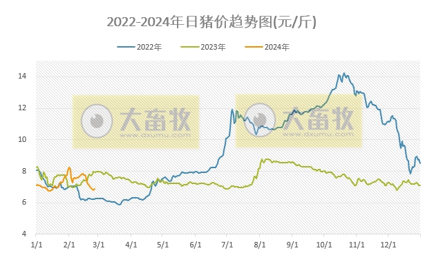 2024.02.25今日猪价