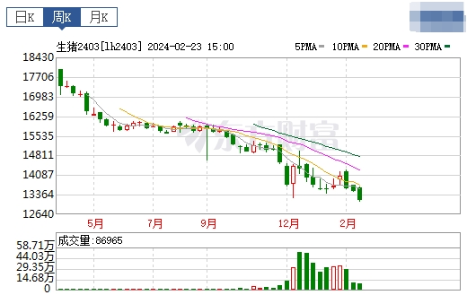 2024.02.25今日猪价