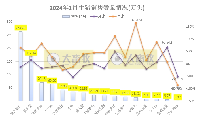 16家上市猪企2024年1月生猪销售业绩和生产指标PK