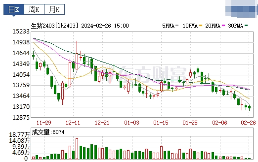 2024.02.27今日猪价