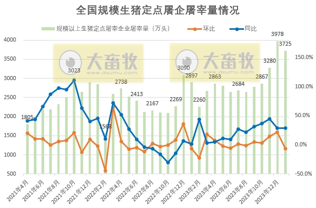 2024年1月全国规模以上生猪定点屠宰企业屠宰情况