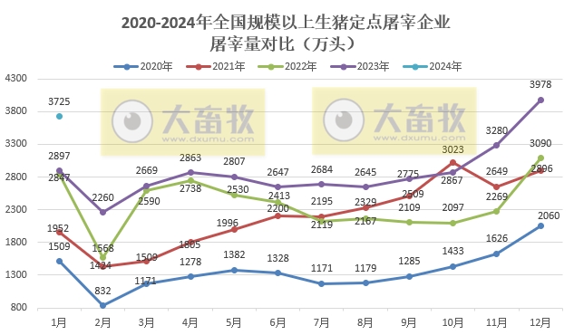 2024年1月全国规模以上生猪定点屠宰企业屠宰情况