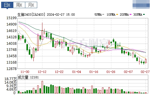 2024.02.28今日猪价