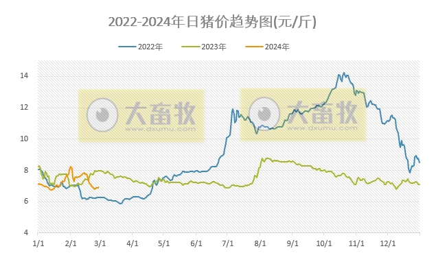 2024.02.28今日猪价