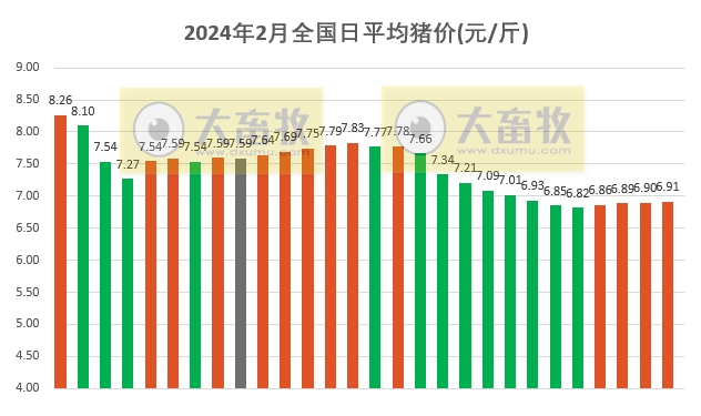 2024.02.28今日猪价