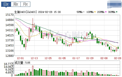 2024.02.29今日猪价