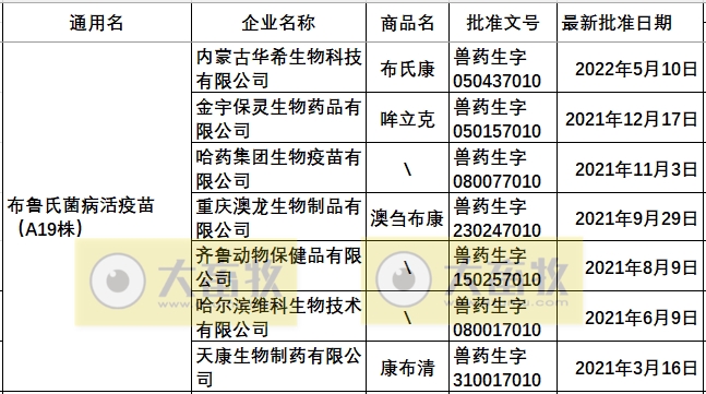 好消息:动物布病疫苗安全可靠,能有效防控牛羊布病——国家动物布病参考实验室对动物布病疫苗进行系统评估确认