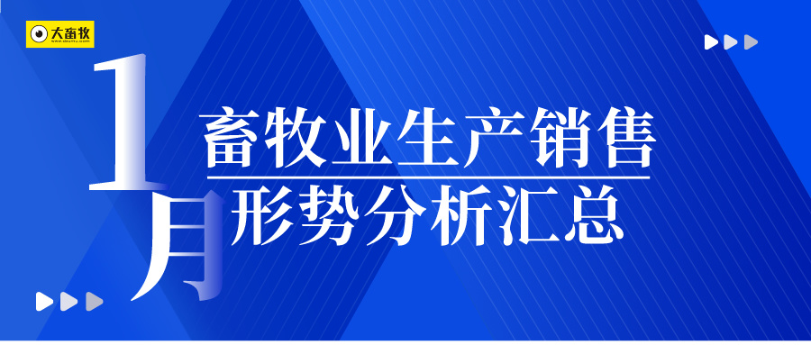 【畜牧业月报】2025年1月畜牧业生产销售形势分析汇总