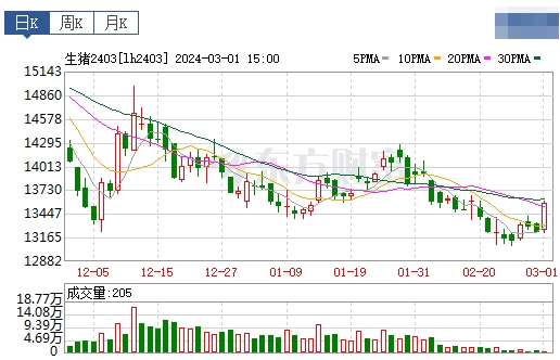 2024.03.02今日猪价