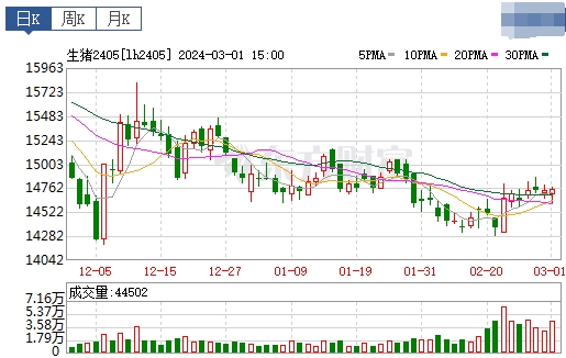 2024.03.02今日猪价