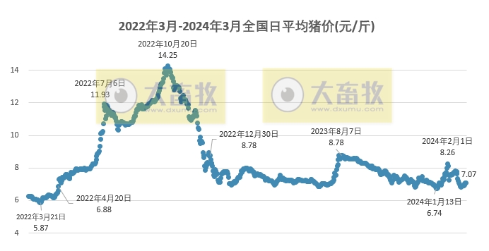 2024.03.03今日猪价