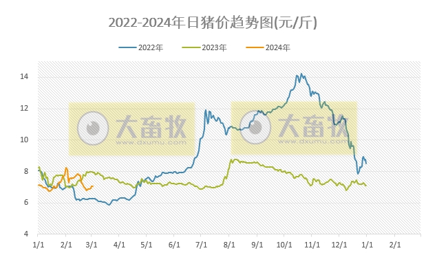 2024.03.03今日猪价