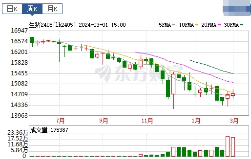 2024.03.03今日猪价