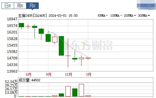 2024.03.03今日猪价