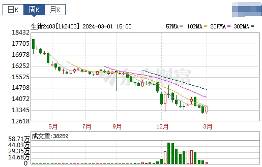 2024.03.03今日猪价