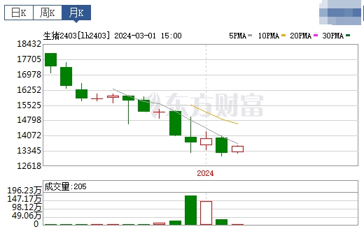 2024.03.03今日猪价