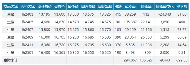 2024.03.03今日猪价