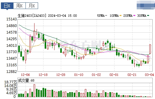 2024.03.05今日猪价