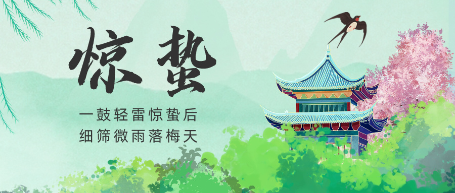 2024.03.05今日猪价