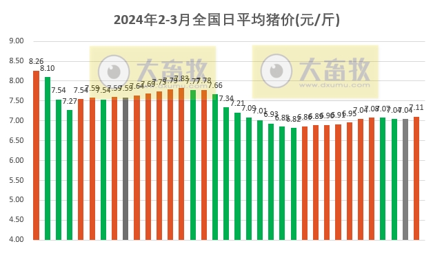 2024.03.06今日猪价