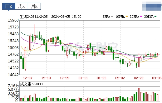 2024.03.06今日猪价